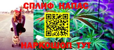 МДПВ Будённовск