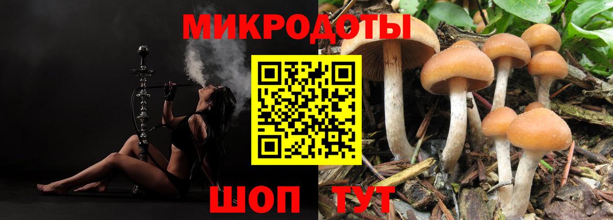 Галлюциногенные грибы мицелий Пенза